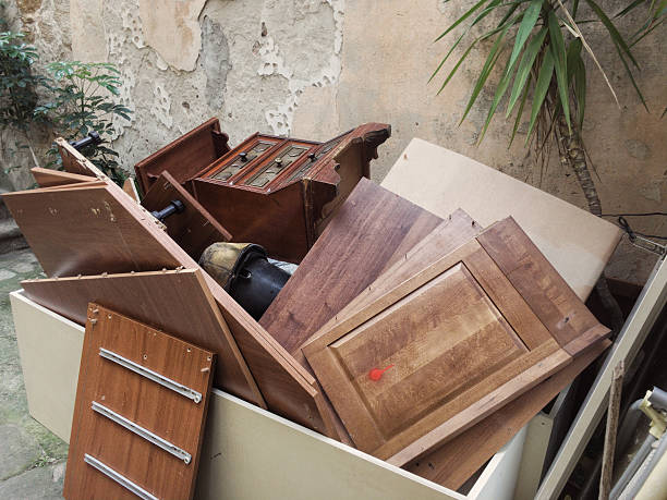 Best Professional Junk Removal  in Dane, WI